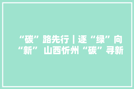 “碳”路先行｜逐“绿”向“新” 山西忻州“碳”寻新兴家当高地