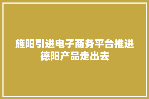 旌阳引进电子商务平台推进德阳产品走出去