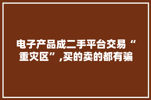 电子产品成二手平台交易“重灾区”,买的卖的都有骗术让你难戒备
