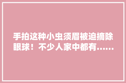 手拍这种小虫须眉被迫摘除眼球！不少人家中都有……