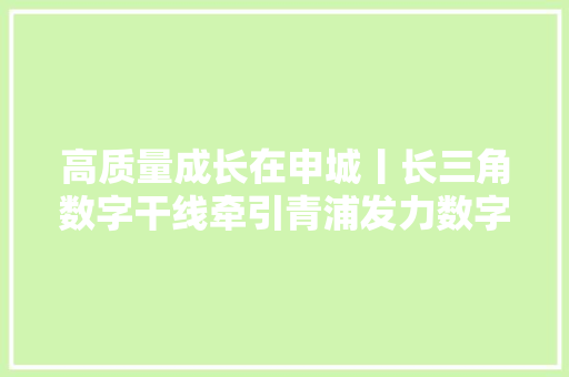高质量成长在申城丨长三角数字干线牵引青浦发力数字经济