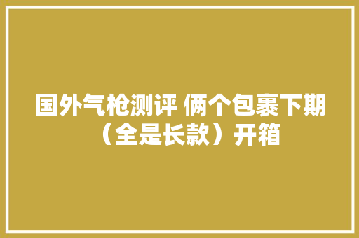 国外气枪测评 俩个包裹下期（全是长款）开箱