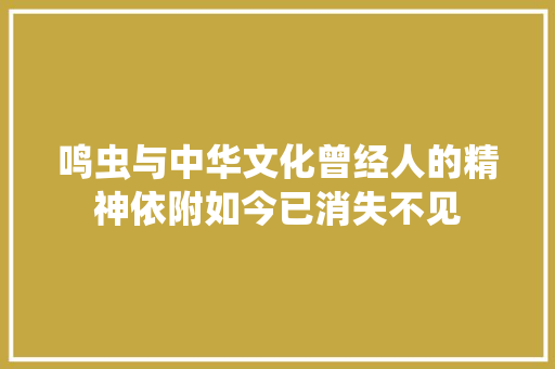 鸣虫与中华文化曾经人的精神依附如今已消失不见
