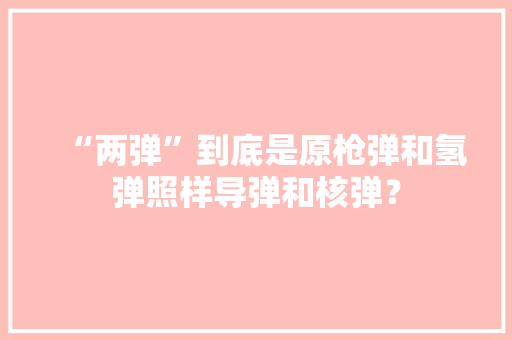 “两弹”到底是原枪弹和氢弹照样导弹和核弹？