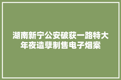湖南新宁公安破获一路特大年夜造孽制售电子烟案