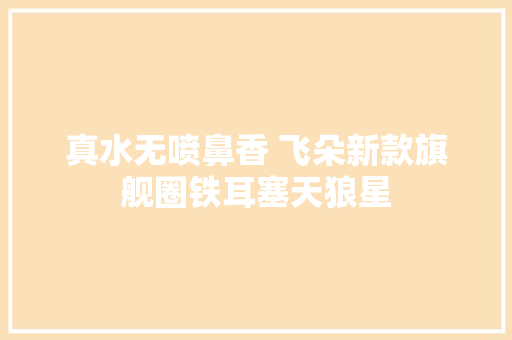真水无喷鼻香 飞朵新款旗舰圈铁耳塞天狼星