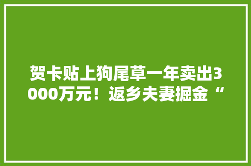 贺卡贴上狗尾草一年卖出3000万元！返乡夫妻掘金“野花野草”