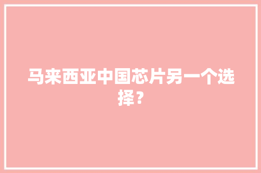 马来西亚中国芯片另一个选择？