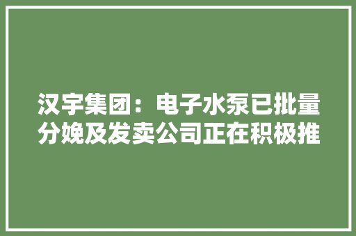 汉宇集团：电子水泵已批量分娩及发卖公司正在积极推广产品