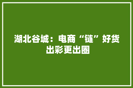 湖北谷城：电商“链”好货 出彩更出圈