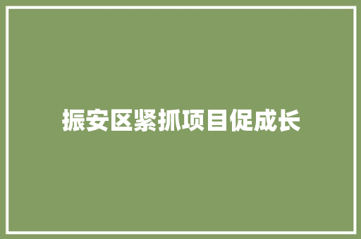 振安区紧抓项目促成长