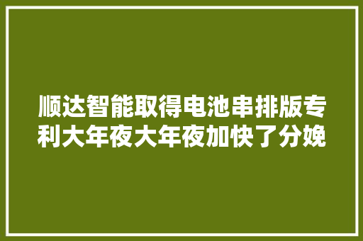顺达智能取得电池串排版专利大年夜大年夜加快了分娩效率