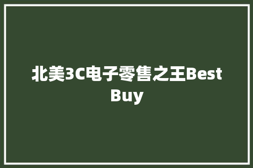 北美3C电子零售之王BestBuy