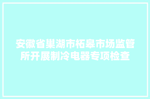 安徽省巢湖市柘皋市场监管所开展制冷电器专项检查