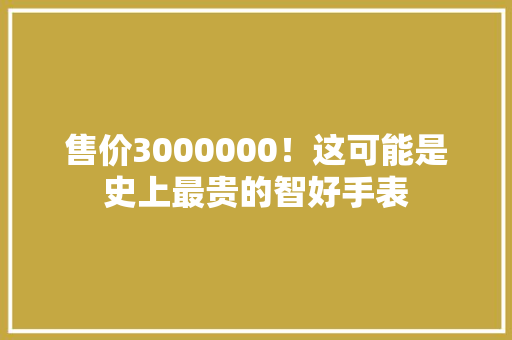 售价3000000！这可能是史上最贵的智好手表