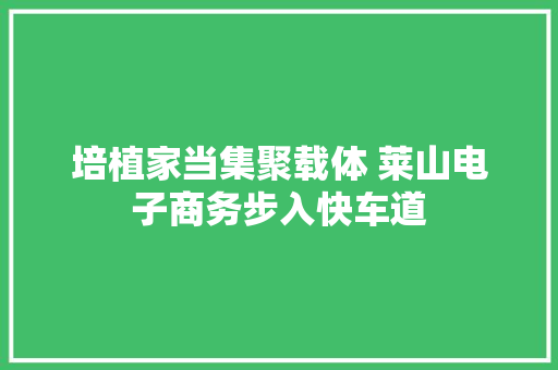 培植家当集聚载体 莱山电子商务步入快车道