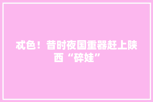 忒色！昔时夜国重器赶上陕西“碎娃”