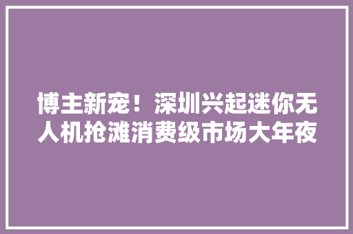 博主新宠！深圳兴起迷你无人机抢滩消费级市场大年夜疆或迎对手