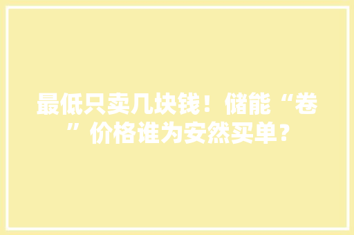 最低只卖几块钱！储能“卷”价格谁为安然买单？