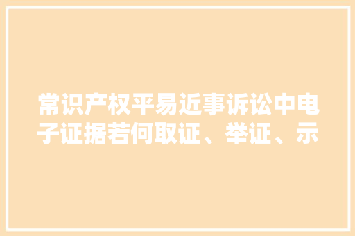 常识产权平易近事诉讼中电子证据若何取证、举证、示证