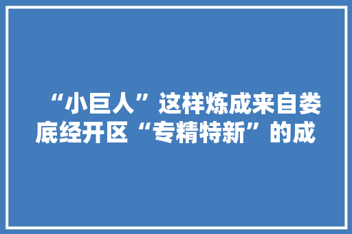 “小巨人”这样炼成来自娄底经开区“专精特新”的成长实践