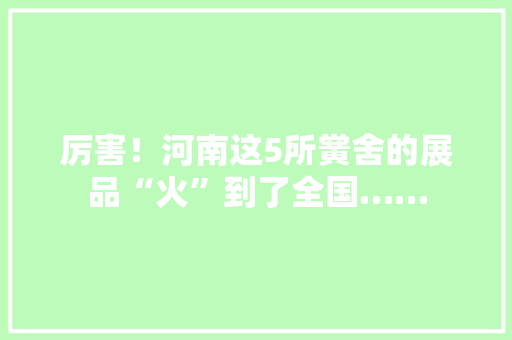 厉害！河南这5所黉舍的展品“火”到了全国……