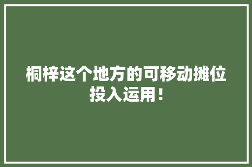 桐梓这个地方的可移动摊位投入运用！