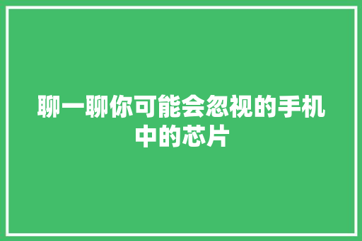 聊一聊你可能会忽视的手机中的芯片