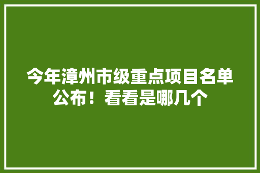 今年漳州市级重点项目名单公布！看看是哪几个