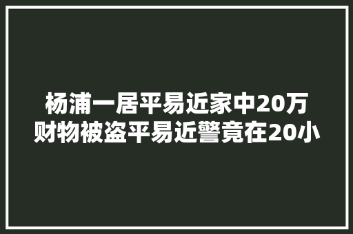 杨浦一居平易近家中20万财物被盗平易近警竟在20小时内全部追回