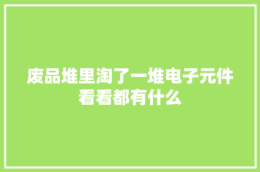 废品堆里淘了一堆电子元件看看都有什么