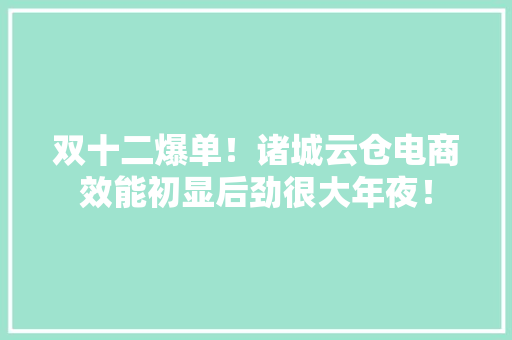 双十二爆单！诸城云仓电商效能初显后劲很大年夜！