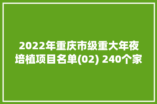 2022年重庆市级重大年夜培植项目名单(02) 240个家当转型进级项目名单