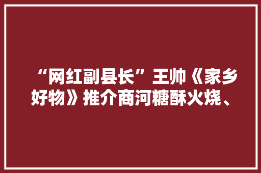 “网红副县长”王帅《家乡好物》推介商河糖酥火烧、老粗布等百年传承好物