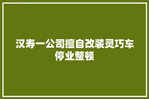 汉寿一公司擅自改装灵巧车停业整顿