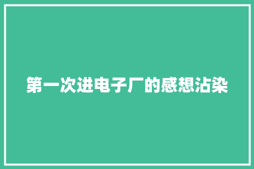 第一次进电子厂的感想沾染