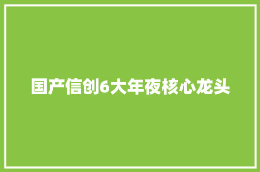国产信创6大年夜核心龙头