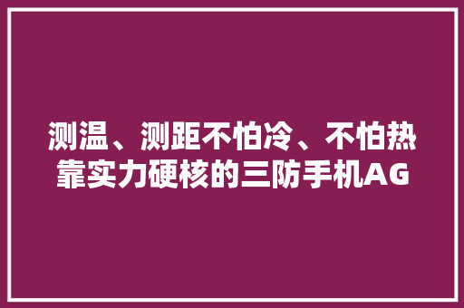 测温、测距不怕冷、不怕热靠实力硬核的三防手机AGM G1 Pro测评