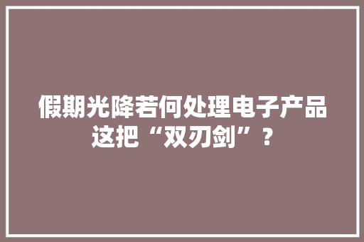 假期光降若何处理电子产品这把“双刃剑”？