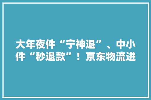 大年夜件“宁神退”、中小件“秒退款”！京东物流进级多平台多场景退货解决筹划