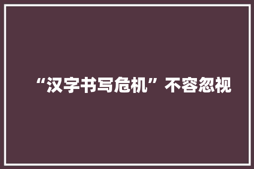“汉字书写危机”不容忽视