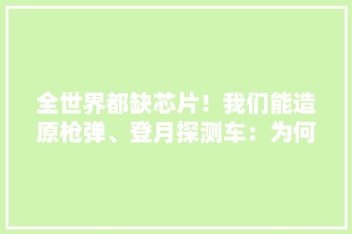 全世界都缺芯片！我们能造原枪弹、登月探测车：为何造不出芯片？