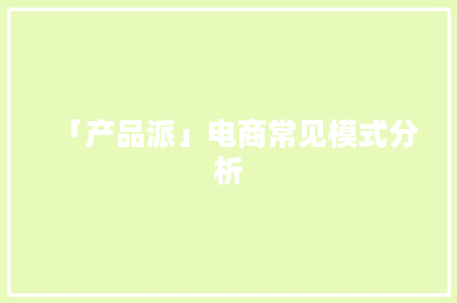 「产品派」电商常见模式分析
