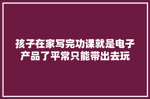 孩子在家写完功课就是电子产品了平常只能带出去玩