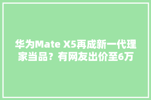 华为Mate X5再成新一代理家当品？有网友出价至6万元