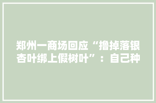 郑州一商场回应“撸掉落银杏叶绑上假树叶”：自己种的有处置权