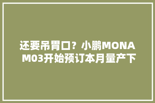 还要吊胃口？小鹏MONA M03开始预订本月量产下线