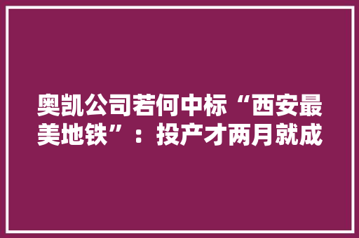 奥凯公司若何中标“西安最美地铁”：投产才两月就成供应商