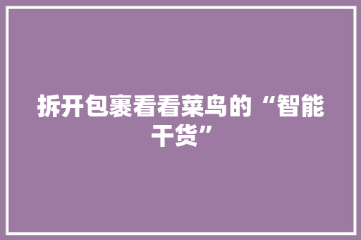 拆开包裹看看菜鸟的“智能干货”