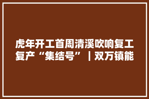 虎年开工首周清溪吹响复工复产“集结号”｜双万镇能量